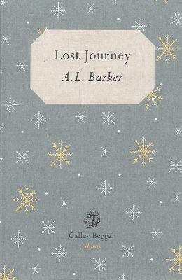 Book cover for Lost Journey