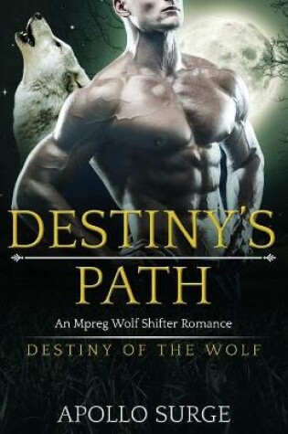 Cover of Destiny's Path