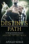 Book cover for Destiny's Path