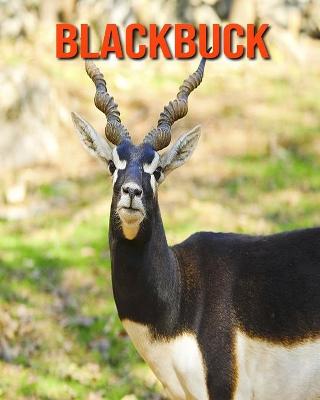 Book cover for Blackbuck