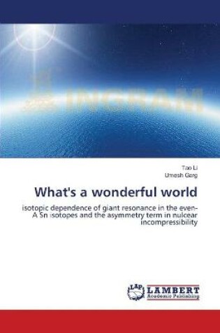 Cover of What's a wonderful world