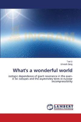 Book cover for What's a wonderful world