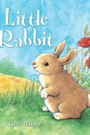 Cover of Little Rabbit