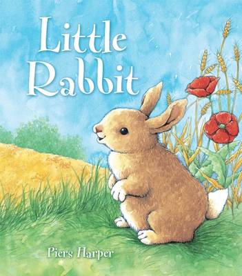 Book cover for Little Rabbit