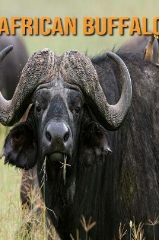 Cover of African Buffalo