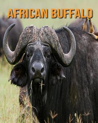 Book cover for African Buffalo