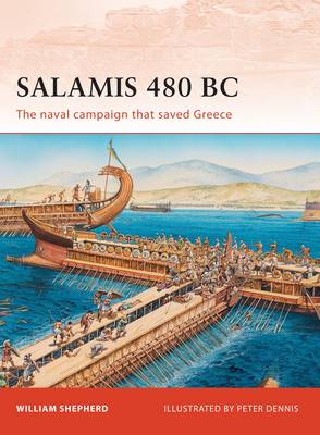 Cover of Salamis 480 BC