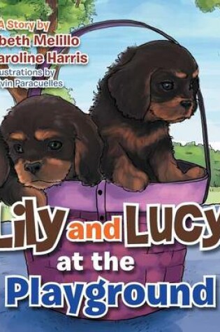 Cover of Lily and Lucy at the Playground