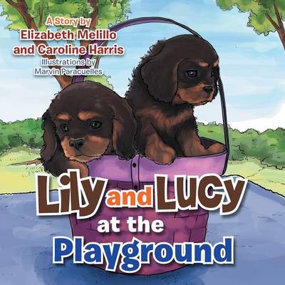 Book cover for Lily and Lucy at the Playground