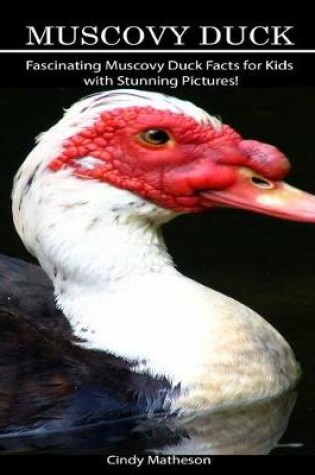 Cover of Muscovy Duck