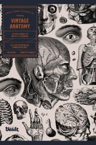 Cover of Vintage Anatomy