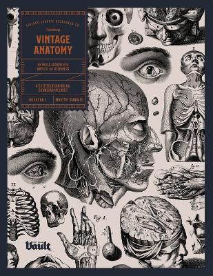 Book cover for Vintage Anatomy