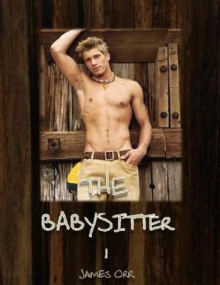 Book cover for The Babysitter