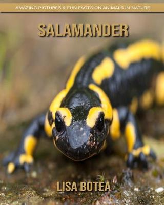 Book cover for Salamander
