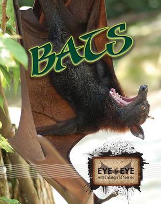 Book cover for Bats