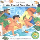 Cover of If We Could See the Air