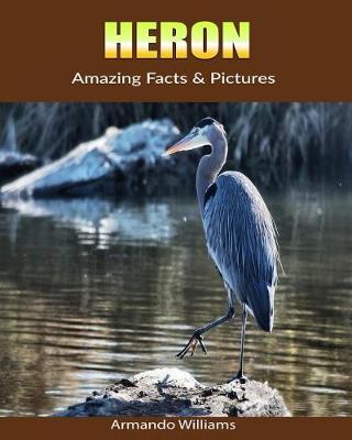 Book cover for Heron