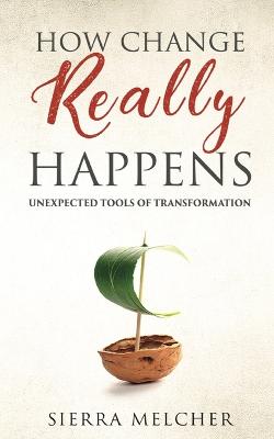 Book cover for How Change Really Happens