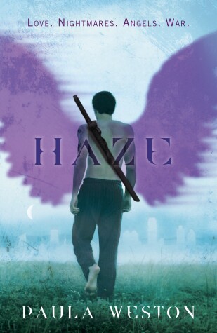 Book cover for Haze