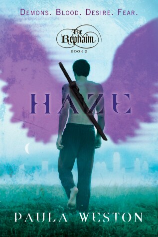 Book cover for Haze