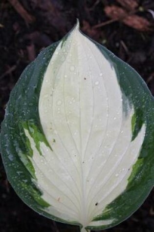 Cover of A Bright Green and White Hosta Leaf Foliage Journal
