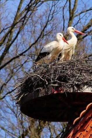 Cover of Two Storks in a Nest Bird Journal