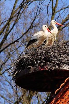 Book cover for Two Storks in a Nest Bird Journal