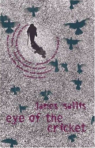 Book cover for Eye of the Cricket