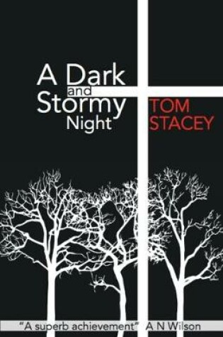 Cover of A Dark and Stormy Night