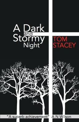 Book cover for A Dark and Stormy Night