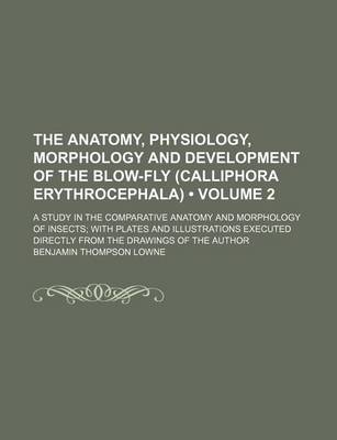 Book cover for The Anatomy, Physiology, Morphology and Development of the Blow-Fly (Calliphora Erythrocephala) (Volume 2); A Study in the Comparative Anatomy and Morphology of Insects with Plates and Illustrations Executed Directly from the Drawings of the Author