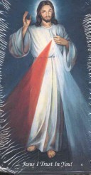 Book cover for Chaplet of Divine Mercy Prayer Card