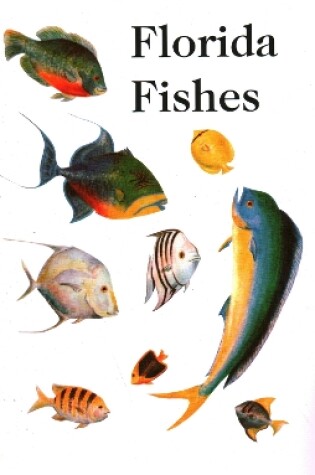 Cover of Saltwater Florida Fishes