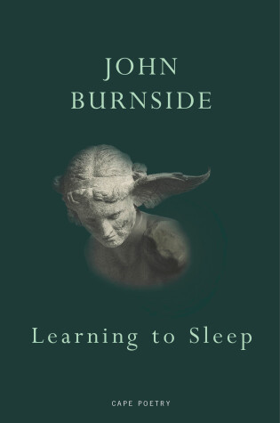 Cover of Learning to Sleep