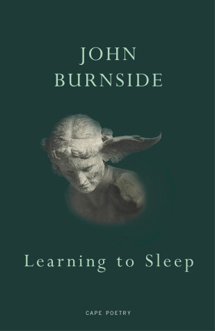 Book cover for Learning to Sleep
