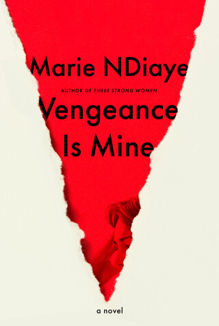 Book cover for Vengeance Is Mine