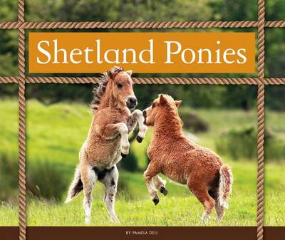 Book cover for Shetland Ponies