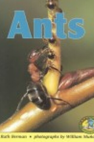 Cover of Ants