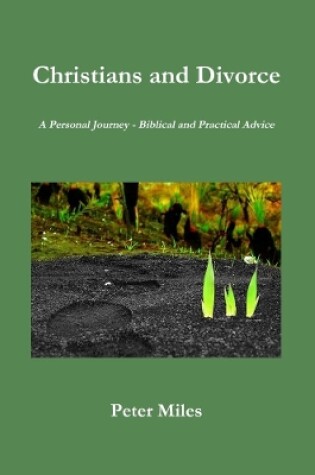 Cover of Christians and Divorce