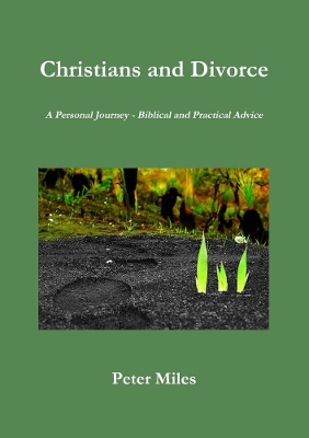 Book cover for Christians and Divorce