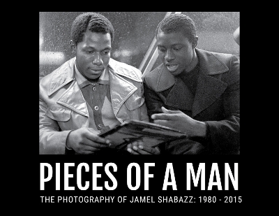 Book cover for Pieces Of A Man