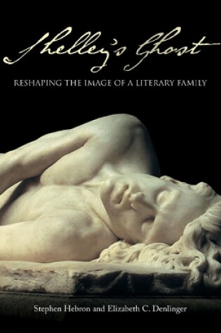 Cover of Shelley's Ghost