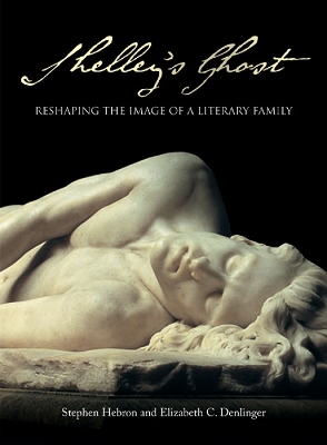 Book cover for Shelley's Ghost