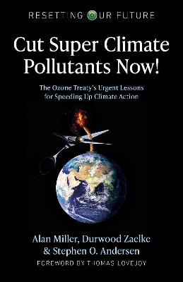 Book cover for Resetting Our Future: Cut Super Climate Pollutants Now!