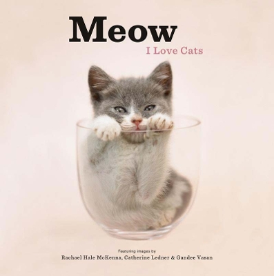 Book cover for Meow: I Love Cats