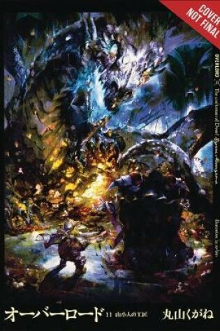 Cover of Overlord, Vol. 11 (light novel)