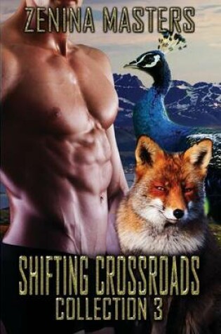 Cover of Shifting Crossroads Collection 3