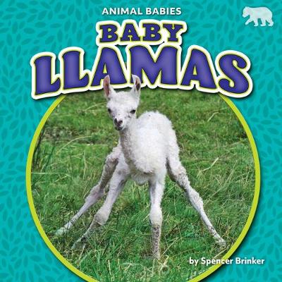 Book cover for Baby Llamas