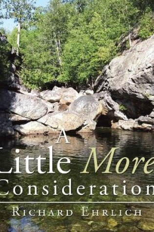 Cover of A Little More Consideration