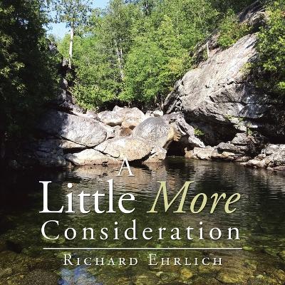 Book cover for A Little More Consideration